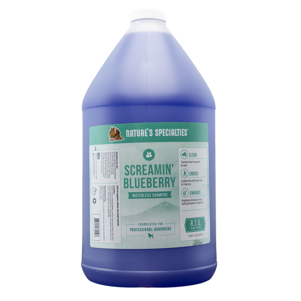 Blueberryです。 Jumbo Blueberries Prepacked - 9.8 Oz - balduccis