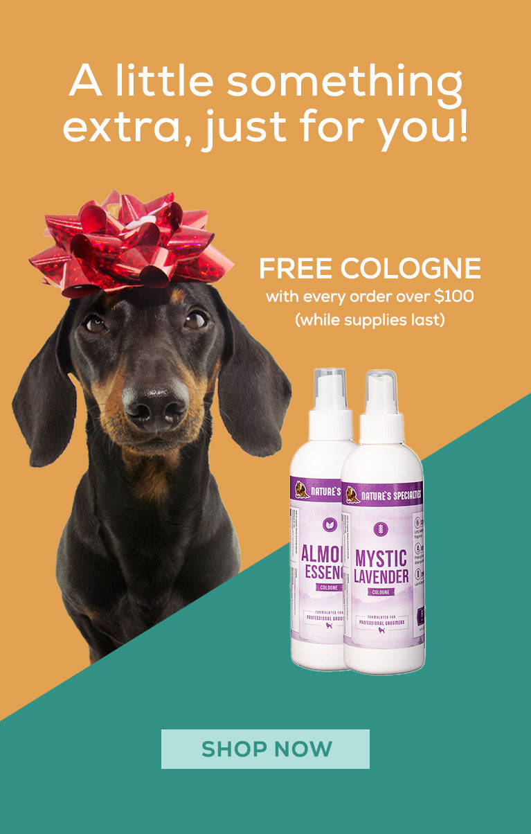 Dog with a red bow and two bottles of cologne on a green and orange background