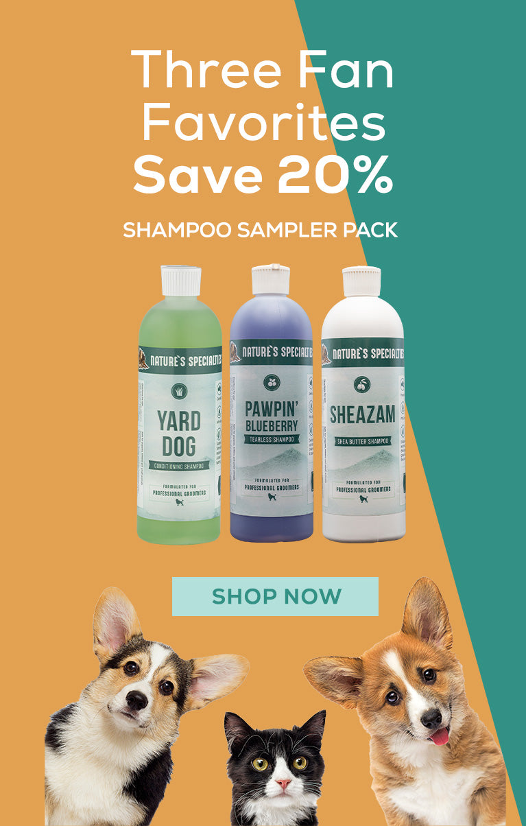 Promotional image for a shampoo sampler pack with three bottles and two dogs and a cat on a multicolored background.