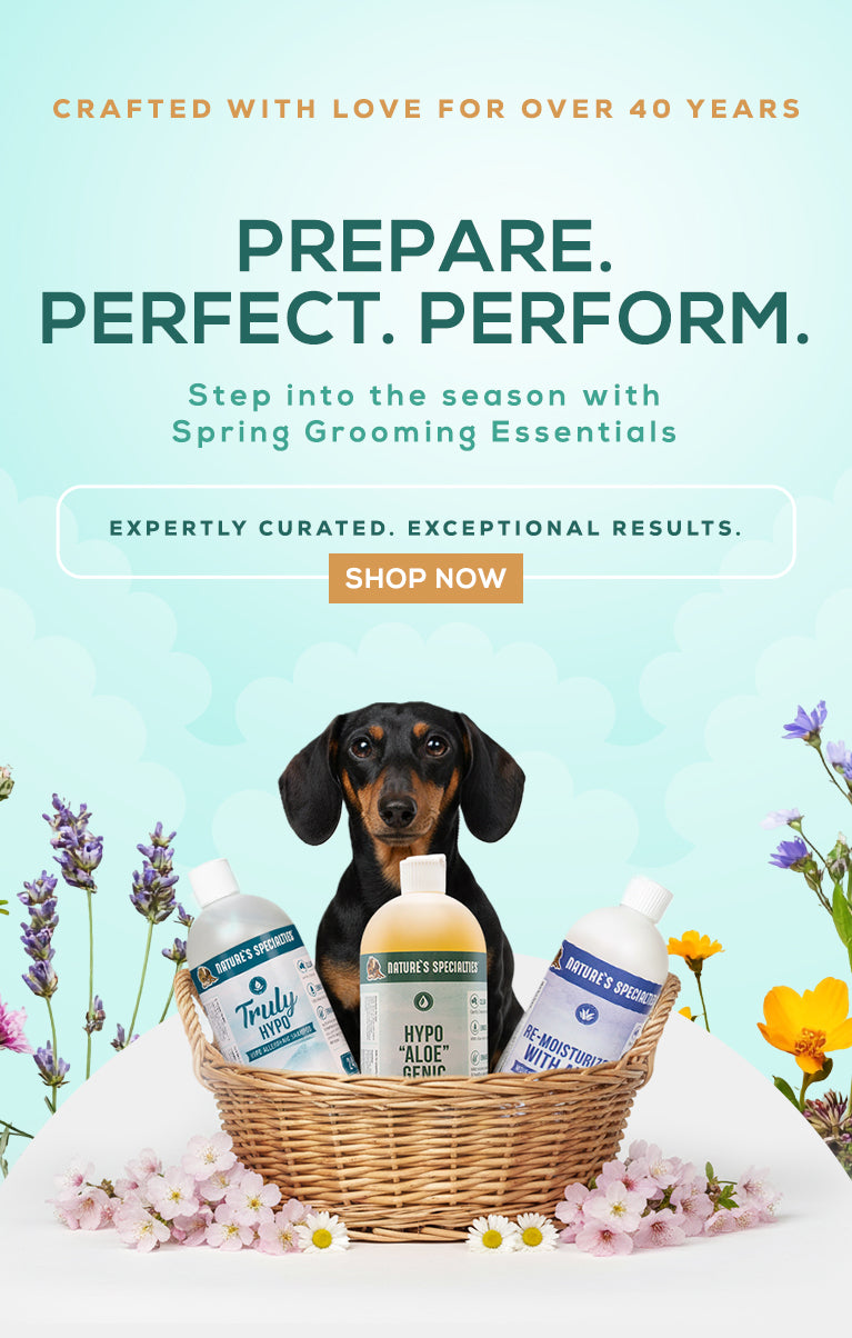Dog in a basket with grooming products and flowers, promotional text on a light blue background
