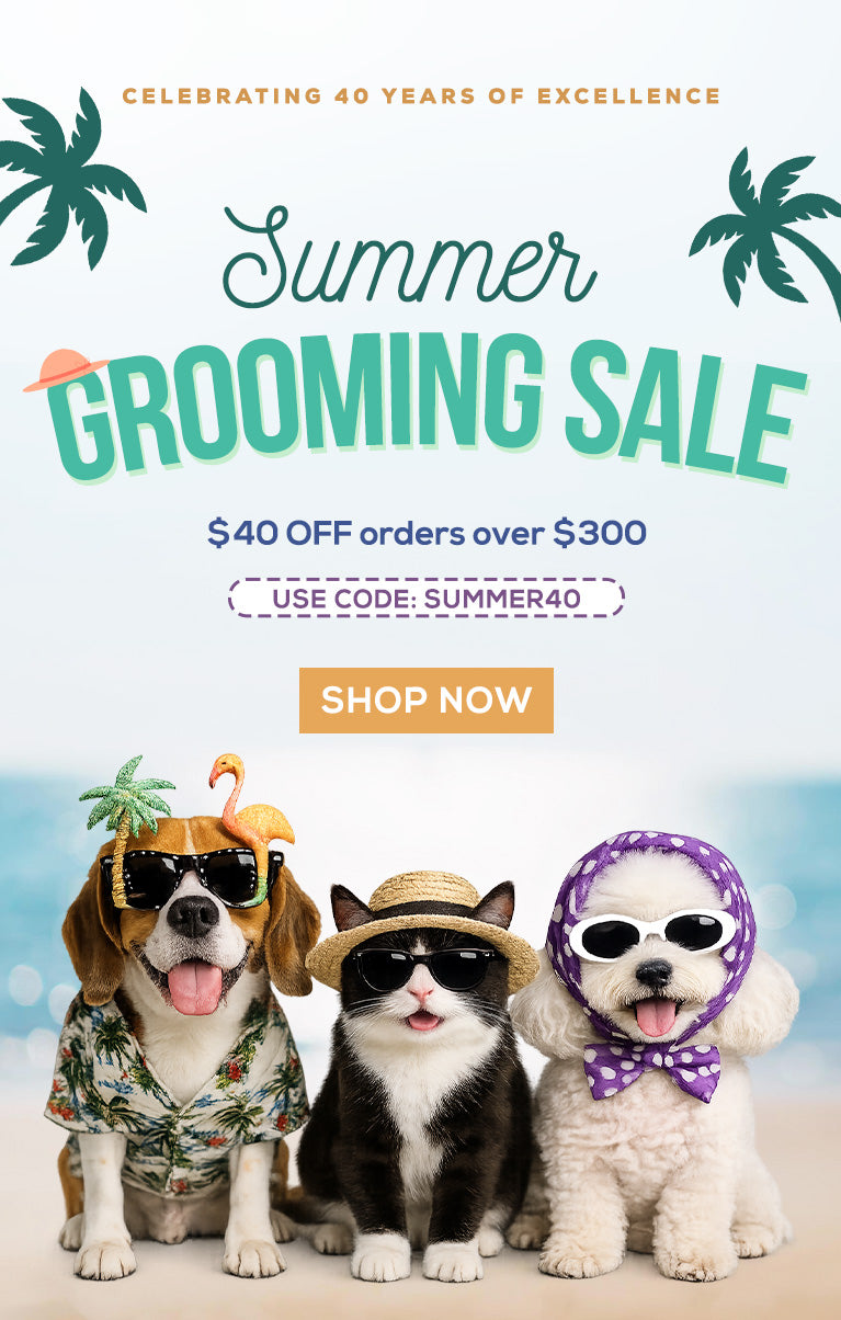 Promotional poster for a summer grooming sale with three dogs and a cat wearing sunglasses and hats.