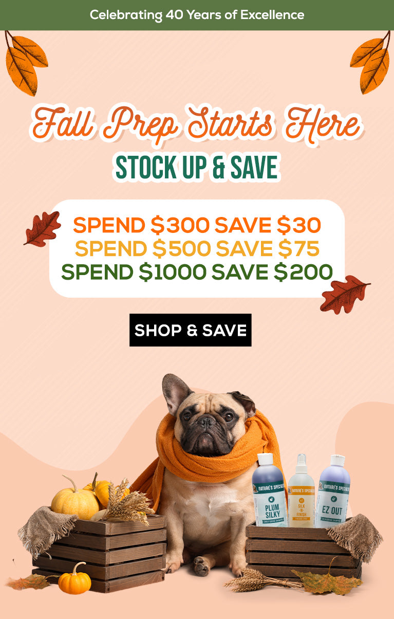 A promotional autumn flyer for Nature's Specialties products, featuring a pug wearing an orange scarf, sitting on wooden crates with pumpkins and bottles. The flyer includes text for 'Fall Prep Starts Here' and discount codes, decorated with orange leaves on a peach background.