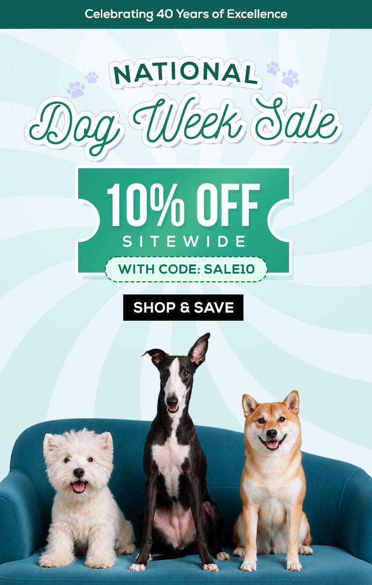 Promotional graphic for National Dog Week Sale featuring three dogs sitting on a teal couch against a light blue sunburst background. Large text reads 'NATIONAL Dog Week Sale,' '10% OFF SITEWIDE,' 'WITH CODE: SALE10,' and 'SHOP & SAVE.