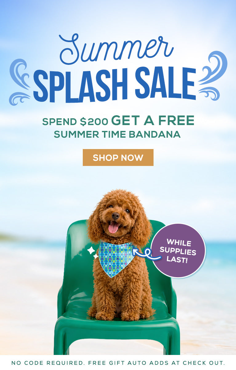 Dog wearing a bandana on a beach chair with 'Summer Splash Sale' text and promotional offer.