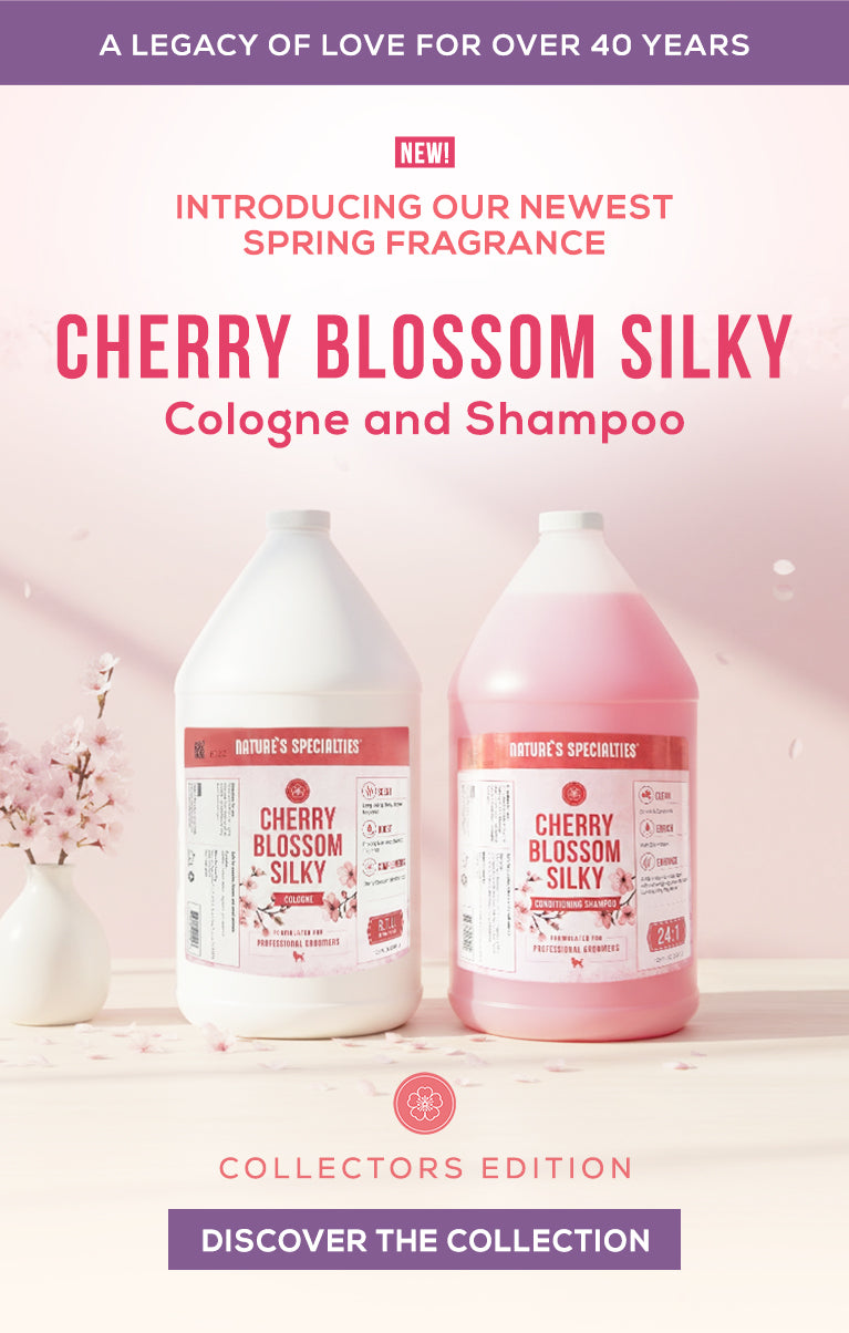 Advertisement for Cherry Blossom Silky cologne and shampoo with bottles on a light background.