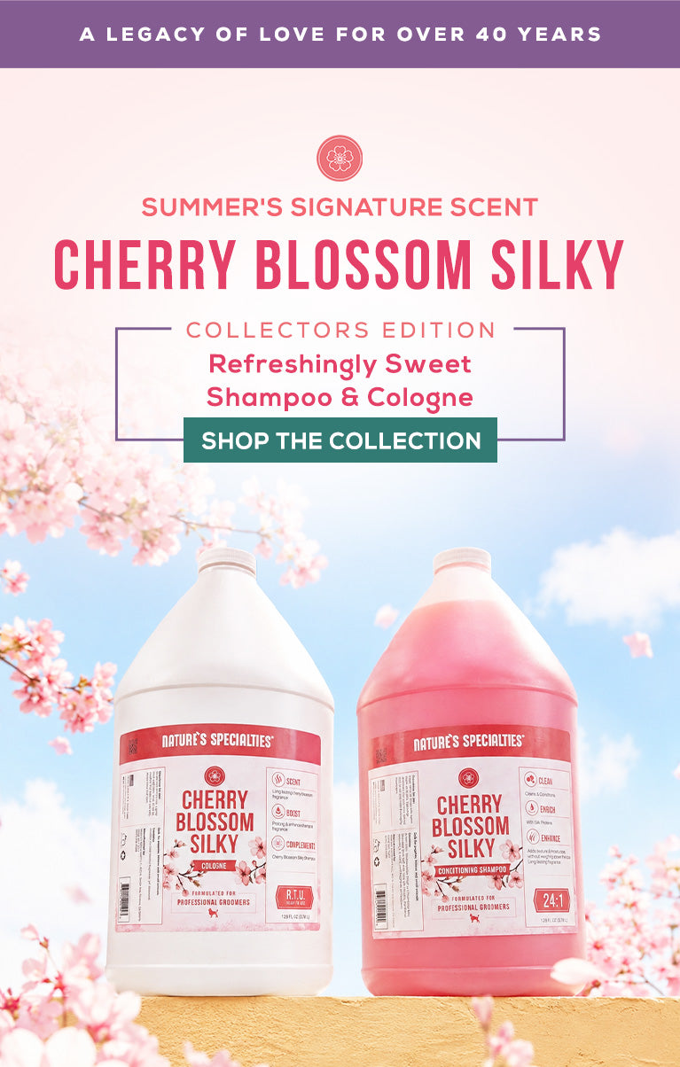 Two bottles of Cherry Blossom Silky shampoo and conditioner with cherry blossoms in the background.