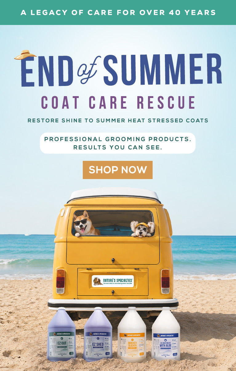 Summer coat care rescue advertisement featuring a yellow van on a beach with two dogs in the back window, five grooming product bottles at the bottom, and large text reading 'END of SUMMER COAT CARE RESCUE' with a 'SHOP NOW' button.